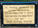 Hamilton, Liam (id=4517)